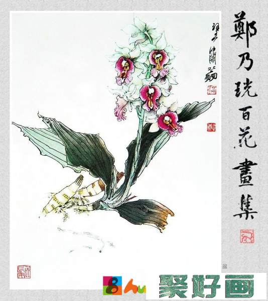 郑奶珖百花画集