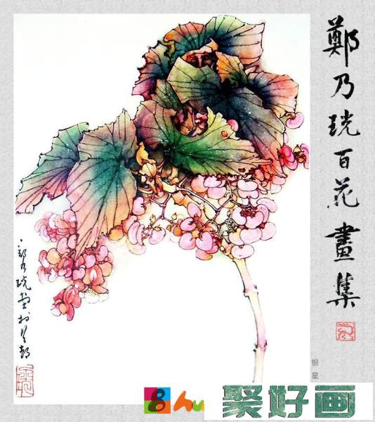 郑奶珖百花画集