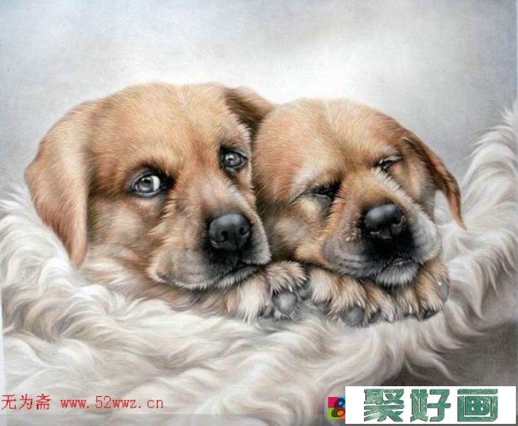 刘继彪动物中国画作品欣赏