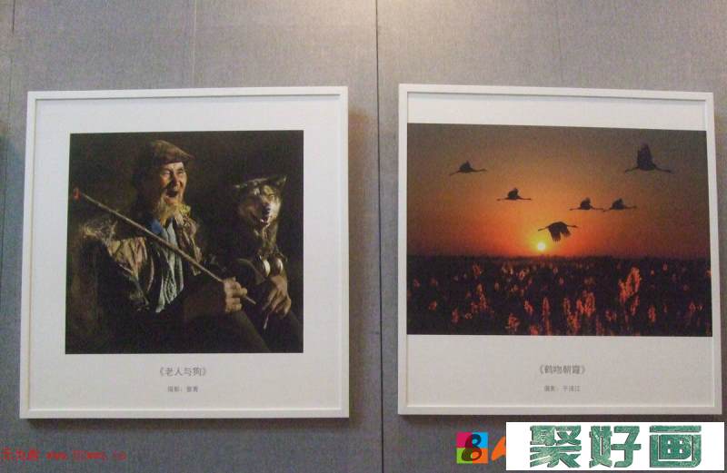 共圆中国梦--纪念民建成立70周年艺术展书画作品选刊