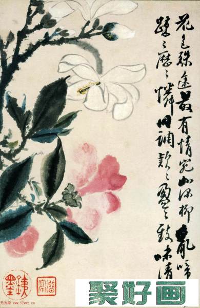 中国画一代宗师石涛字画欣赏《花卉图册》