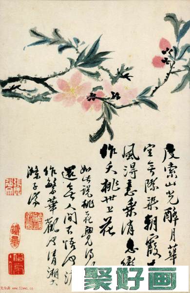 中国画一代宗师石涛字画欣赏《花卉图册》