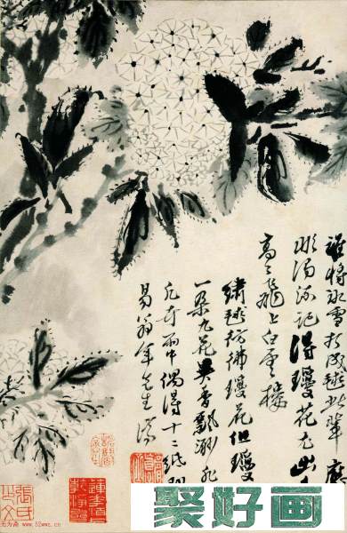 中国画一代宗师石涛字画欣赏《花卉图册》