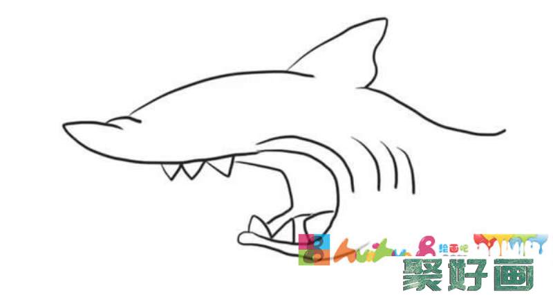 简笔画鲨鱼的画法步骤图
