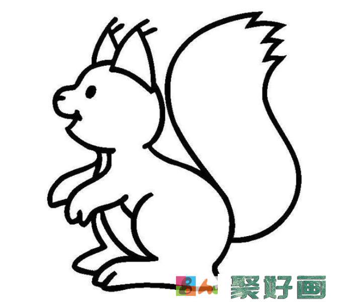 幼儿简笔画：一只可爱的大松鼠