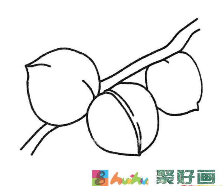 简单的桃子简笔画图片1