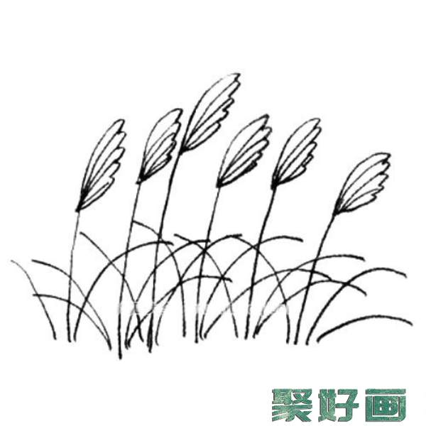 3.画出没一个花穗的纹理，再画出叶子就画好了。