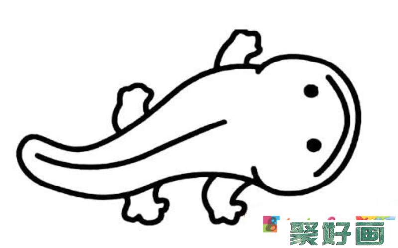 山椒鱼(大鲵)简笔画图片