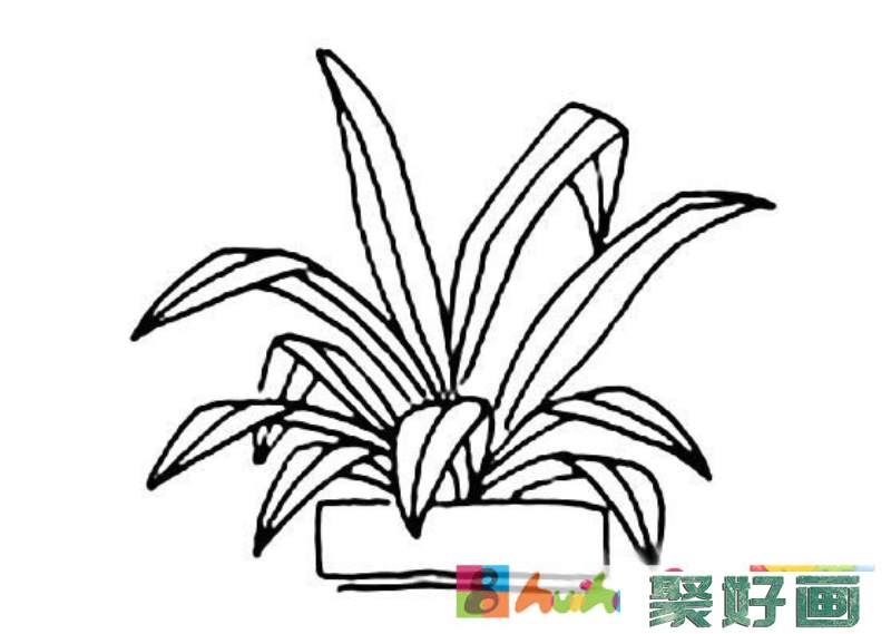 绿植小盆栽简笔画