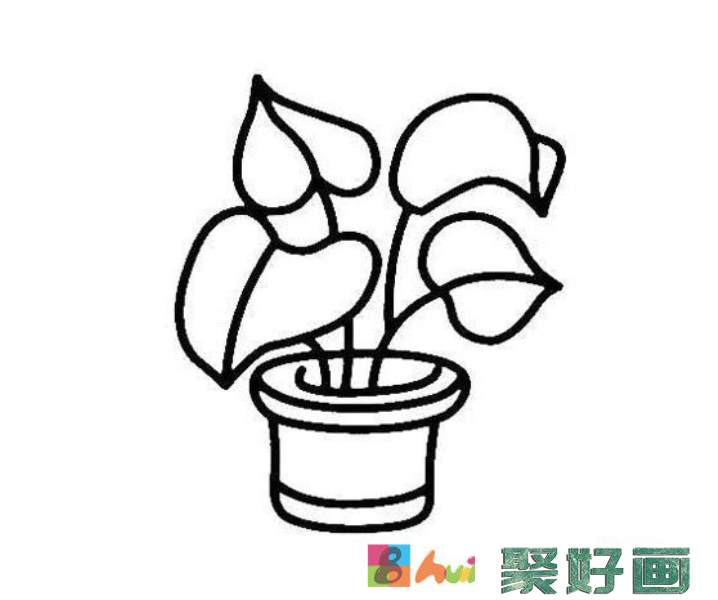 绿植小盆栽简笔画