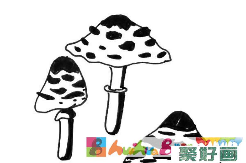 黑白线描蘑菇