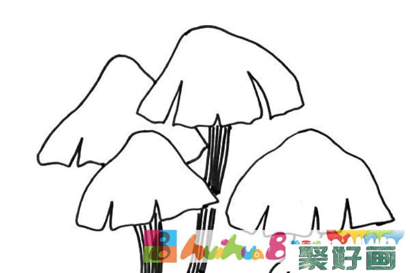 黑白线描蘑菇