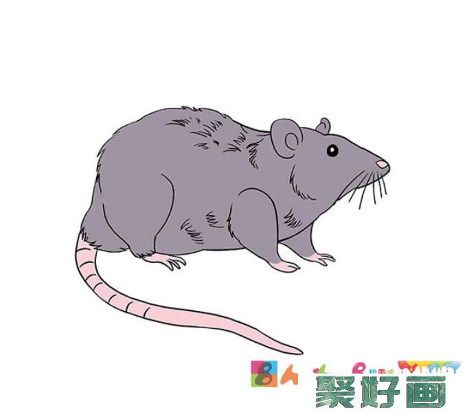 可恶的老鼠简笔画2