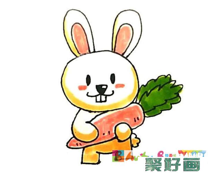 爱胡萝卜的小兔子简笔画步骤教程