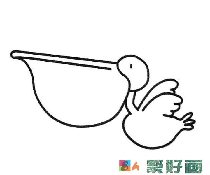 鹈鹕简笔画图片6