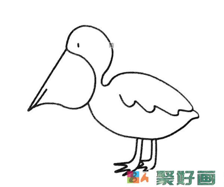 鹈鹕简笔画图片2