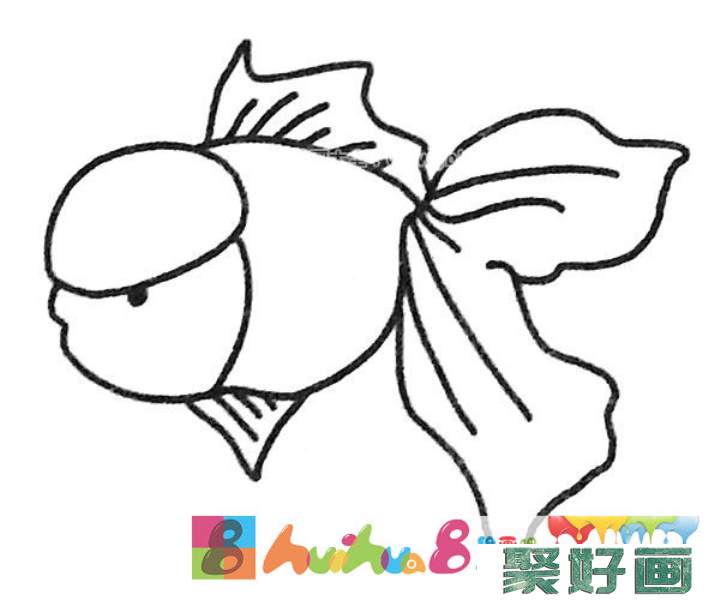 孔雀鱼简笔画图片5