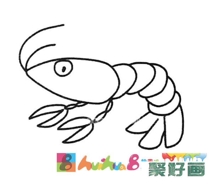 6款卡通虾的简笔画图片