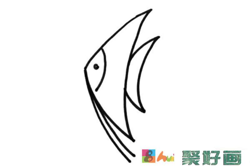 海鱼简笔画