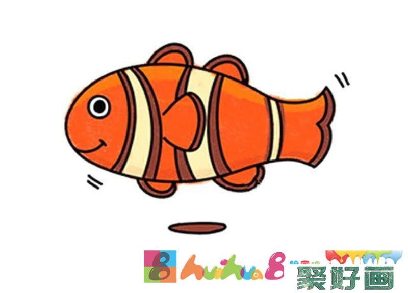 可爱的小丑鱼简笔画彩色图片