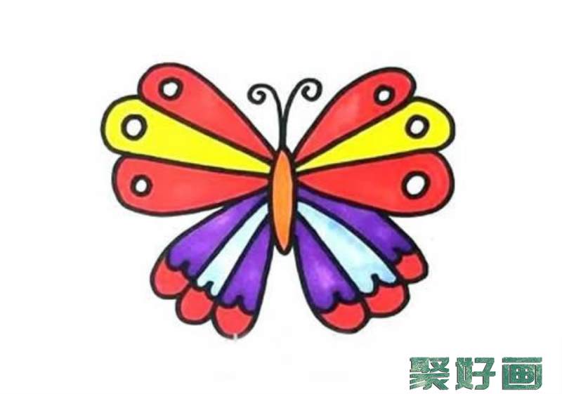 彩色花蝴蝶简笔画图片