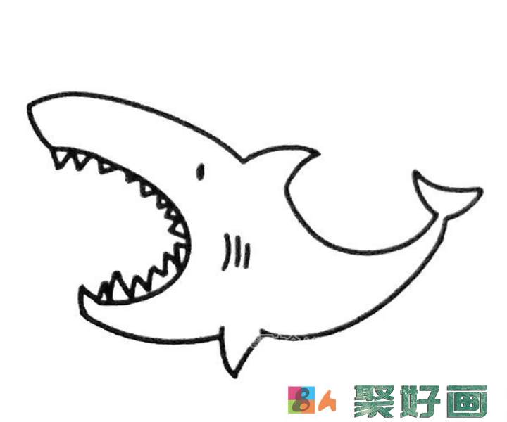 6款卡通鲨鱼简笔画图片