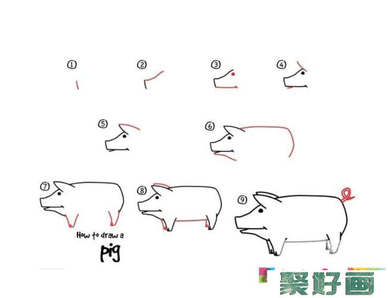 幼儿学画猪的简笔画步骤图解教程 猪的画法