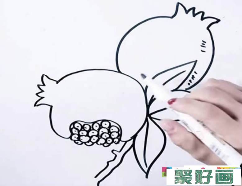 石榴简笔画图片