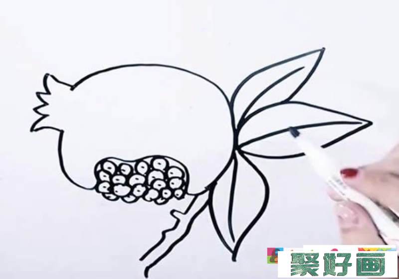 石榴简笔画图片