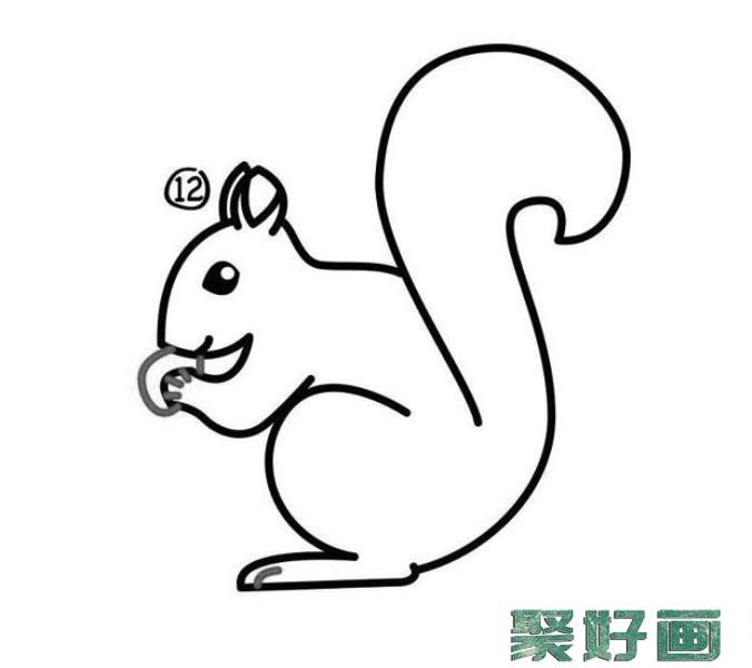 幼儿简笔画：两只玩耍的小松鼠