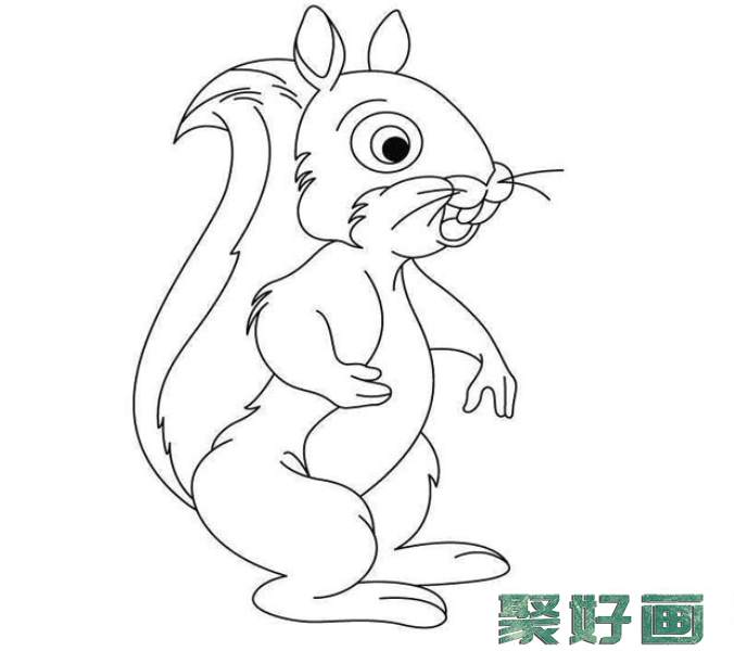 幼儿简笔画：站立的小松鼠