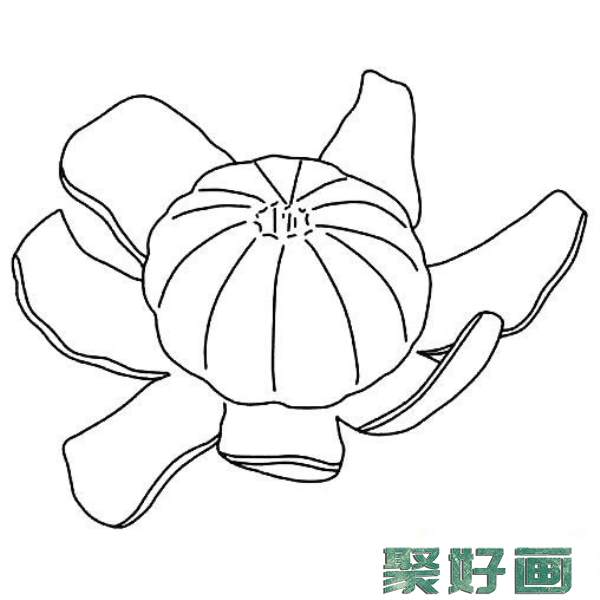 蜜桔简笔画