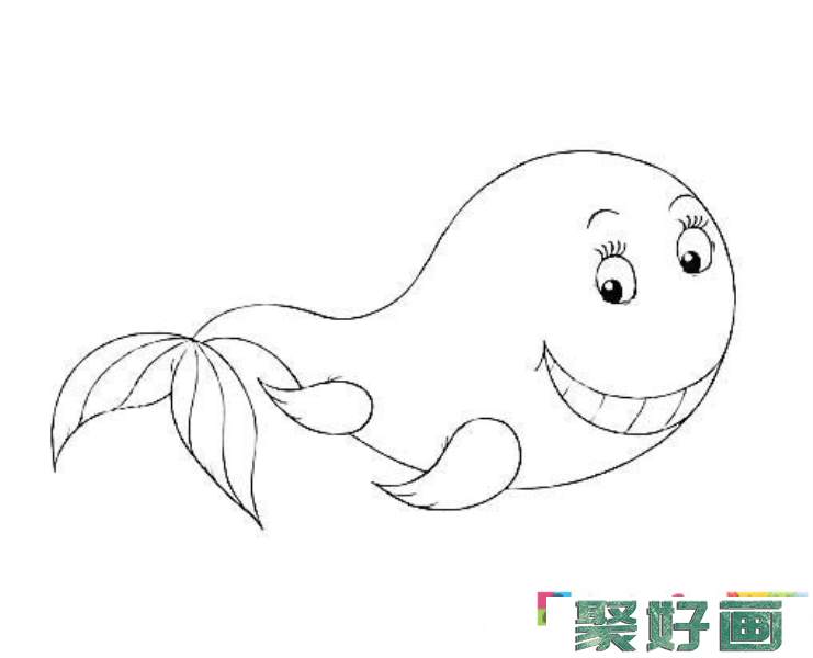 微笑的鲸鱼简笔画图片