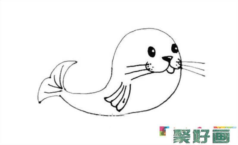 可爱海豹简笔画画法图片步骤