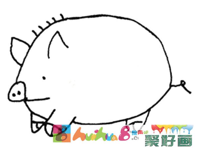 可爱的大肥猪简笔画画法图片