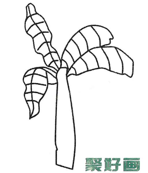 儿童简笔画大全 漂亮的芭蕉树简笔画图片