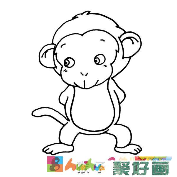 儿童简笔画图片：一只小猴子