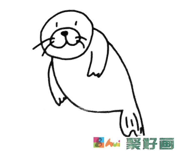 6款可爱的海狮简笔画图片