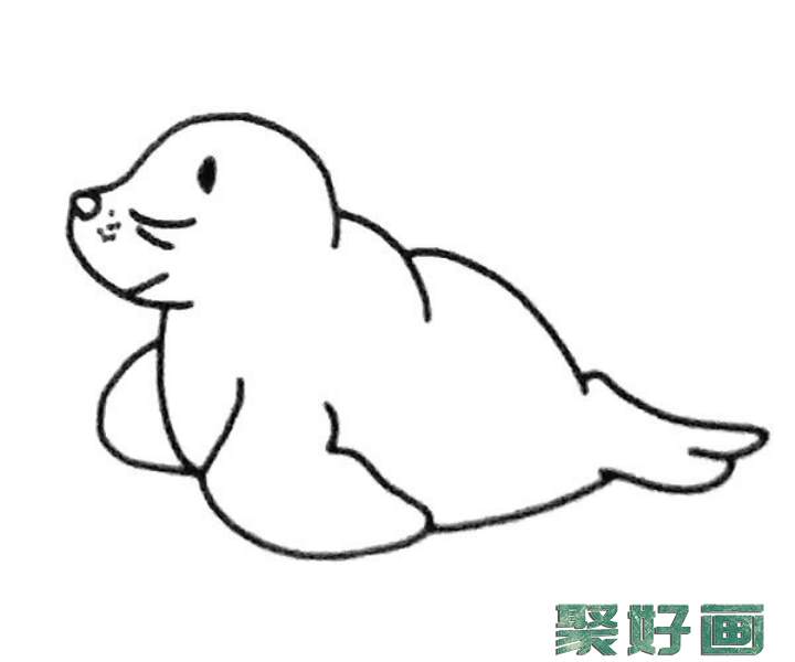6款可爱的海狮简笔画图片