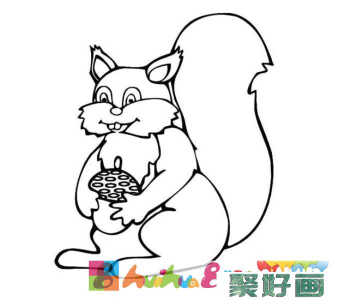 幼儿简笔画：抱着松果的小松鼠