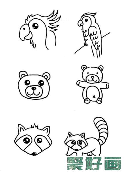 鹦鹉浣熊树袋熊简笔画