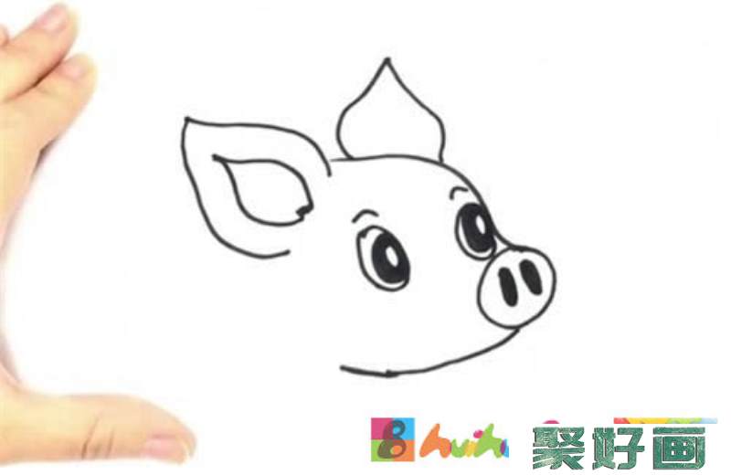 可爱小猪简笔画步骤图