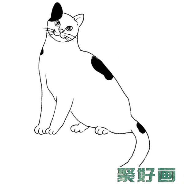 小猫的简笔画画法步骤