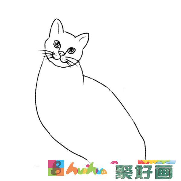 小猫的简笔画画法步骤