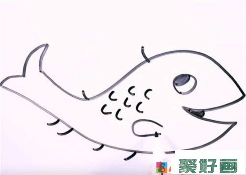 淡水鱼简笔画
