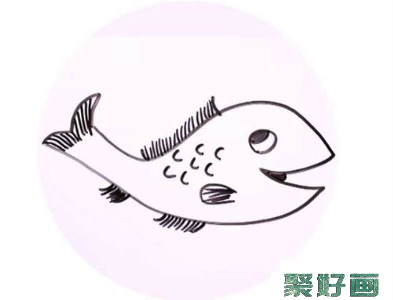 淡水鱼简笔画