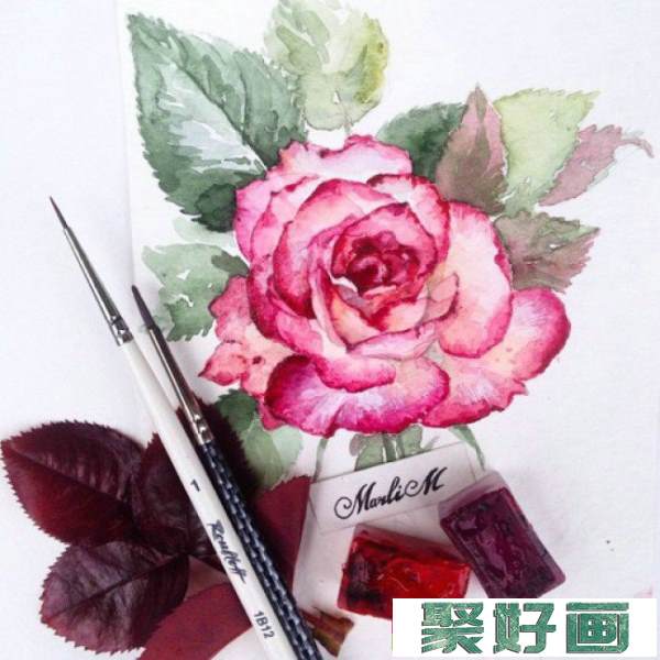 好看的花朵水彩画 逼真唯美的植物花卉绘画作品_www.youyix.com