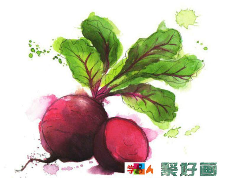 蔬果水彩画图片 常见蔬菜水果的水彩画手绘教程 蔬菜水果水彩画法_www.youyix.com