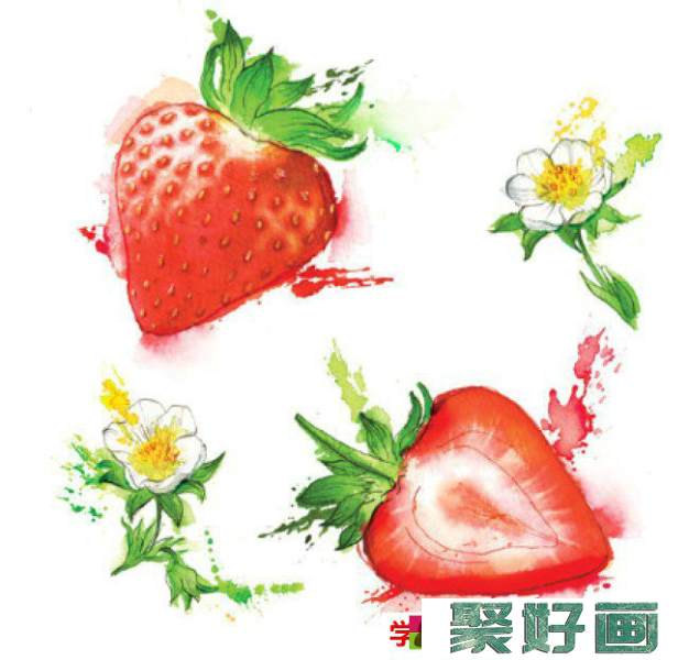 蔬果水彩画图片 常见蔬菜水果的水彩画手绘教程 蔬菜水果水彩画法_www.youyix.com