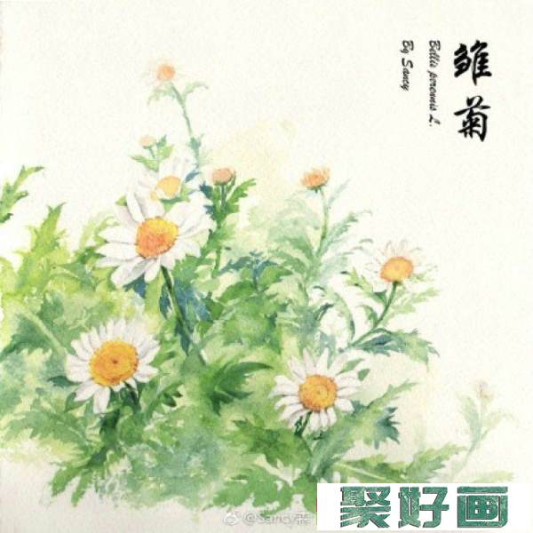 小雏菊水彩画图片教程 带上色步骤和展示_www.youyix.com